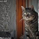 Lelia Schuppe Profile Picture