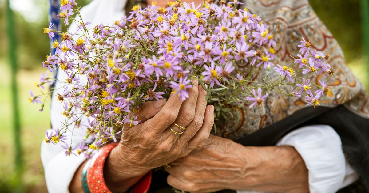 These 4 Simple Gardening Hacks Can Help People With Dementia | HuffPost Life